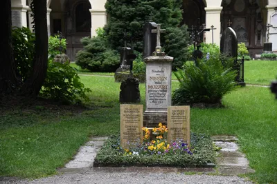 DSC_6101 (Large).JPG